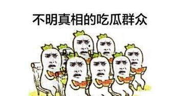网给流行语吃瓜群众,网络流行语的演变与影响