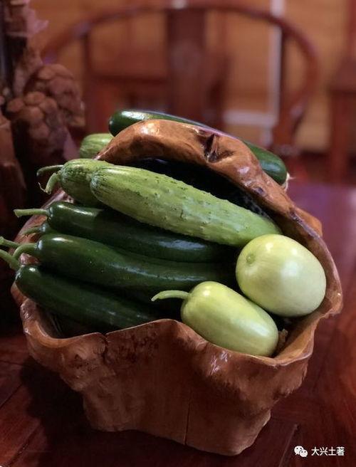 网红的吃瓜群号,一场场幕后风云的狂欢盛宴