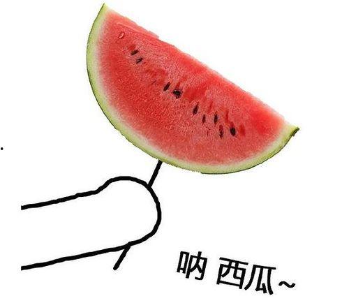 留学圈吃瓜网,揭秘海外留学生活那些事儿